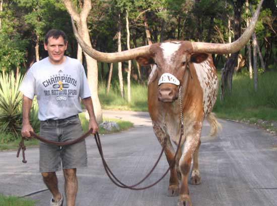 Picture of Bevo